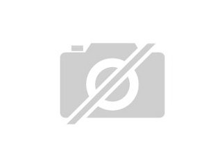 harley davidson 125 ccm preis